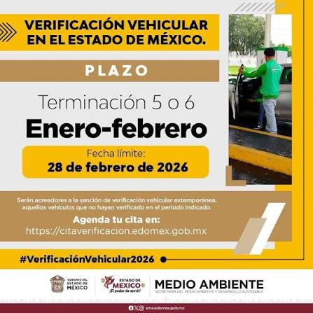 engomado amarillo verificación Edomex placas 5 y 6